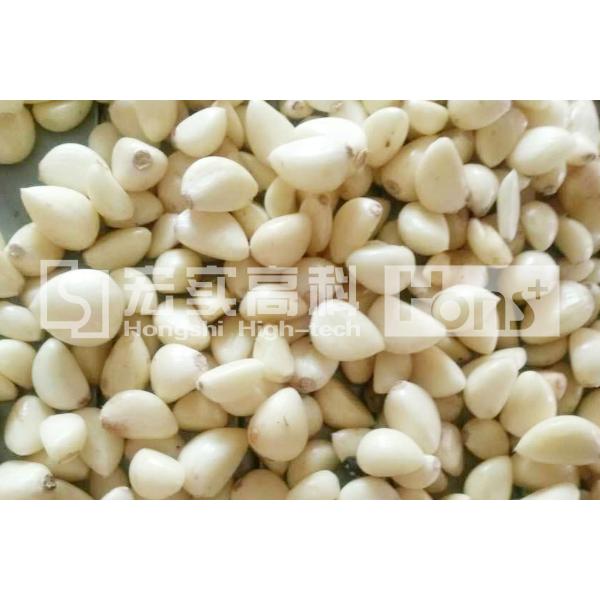 Single Channel CCD Color Sorter Garlic Color Sorting Machine 350kg Weight