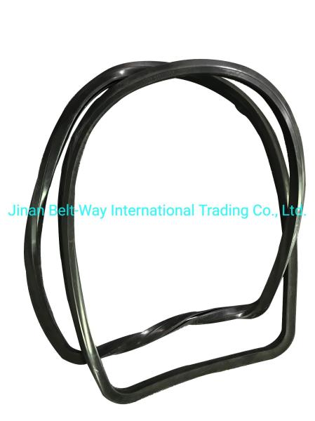 Sinotruk HOWO Truck Parts Windshield Sealing Rubber Wg1642710002 Standard Competitive