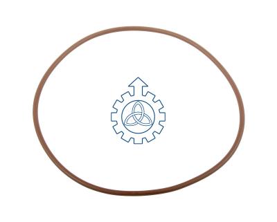 FPM Fluoropolymer Elastomer Truck Repair Kit Small O Rings 17292381