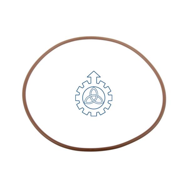 FPM Fluoropolymer Elastomer Truck Repair Kit Small O Rings 17292381