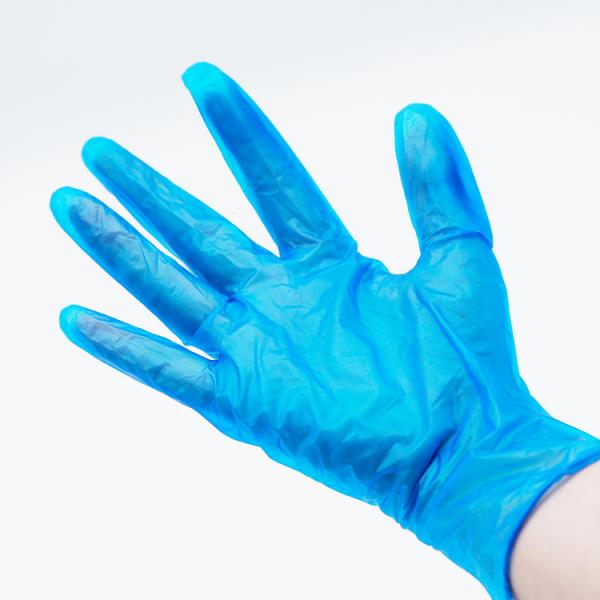 Disposable Vinyl Glovees Hand Blue Food Service PVC Glovees Powder Free Cleaning Vinyl Glovees Manufacturer