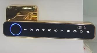 Fechaduras de portas residenciais de alta segurança Fechaduras de portas de entrada eletrónica
