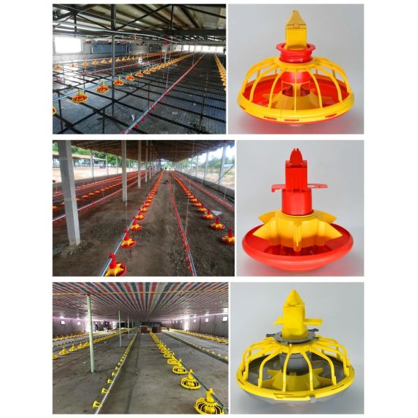 Low Cost Automatic Poultry Equipment with Feed Delivery, Ventilation, and Cooling Systems