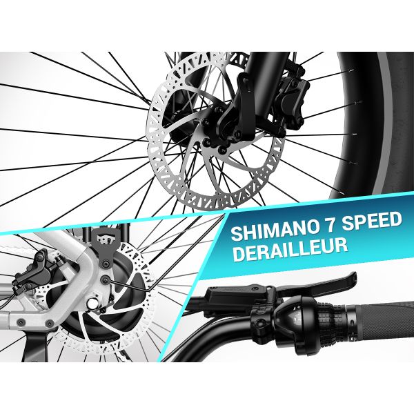 Factory Price F622 26 Inch Off Road Motor 750W Fat Tire Ebike 7 Speed Hydraulic Disc Brake Fat Mountain Bike