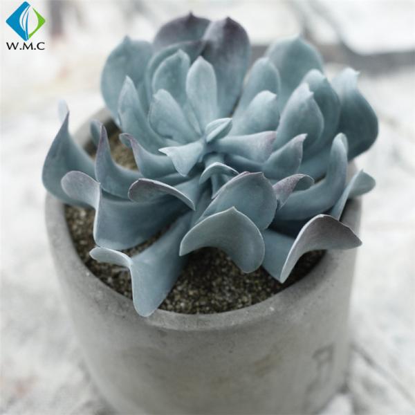 Potted Artificial Green Plants , Fake Succulent Plants 5-10 Years Life Time