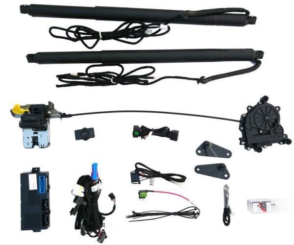 Upper Suction Lock DS-141 Ford Electric Tailgate 2016+ Year