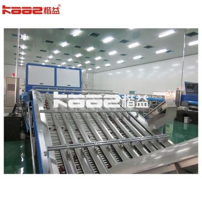 0.5-30T/H Automatic Photoelectric Fruit Sorting System Automatic Fruit Grading Machine