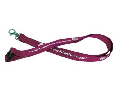 Promotional Nice Looking Silk Screen Lanyards With Metal Hook And Safety Clasp