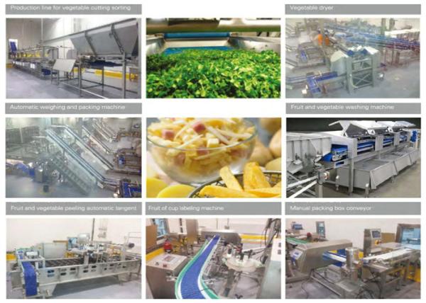 Fresh Cut Vegetable Canning Equipment Stainless Steel IP65 Protection Grade