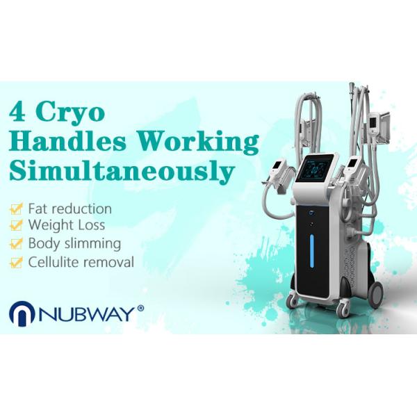 Cryolipolysis slimming machine with 4 cryo handles / 4 cryo handles can work at the same time save treatment time