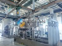 Raffinage physique 200-500TPD d'équipement comestible de raffinage du pétrole d'huile de palme