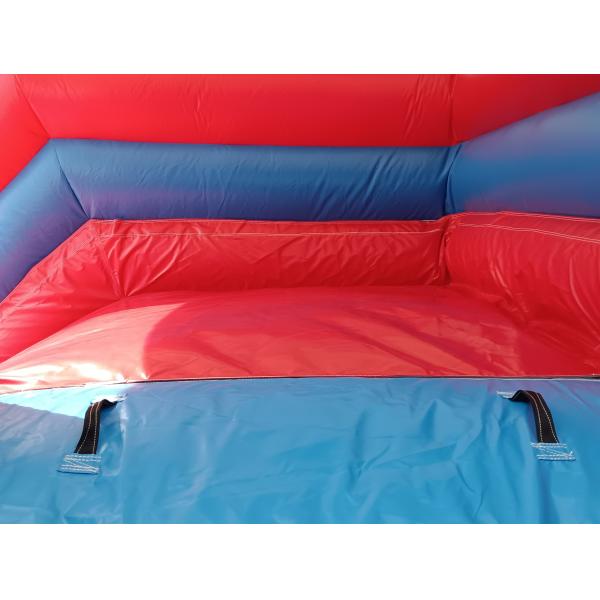 Commercial Outdoor Géant gonflable toboggan à eau Delfine Poulpe dessin animé gonflable double toboggan pour enfants et adultes