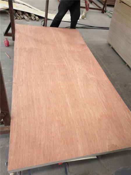 Birch Core Anti Acid 16mm Weather Treated Plywood