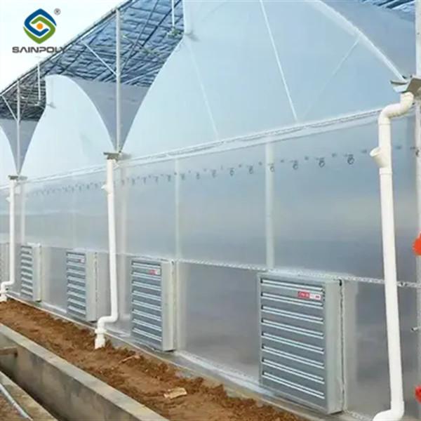 Galvanized Steel Gothic Shaped Greenhouse Snow Resistance With Ventilation System