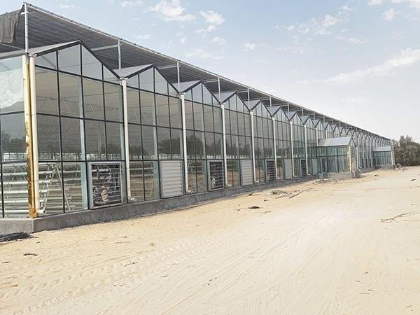Ventilateur d'échappement suspendu de 36 à 50 pouces pour élevage de volailles entrepôt industriel système de refroidissement de la ferme laitière