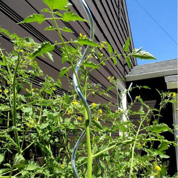 8.0mm*2.0m Plant Support Wire Greenhouse Iron Spiral