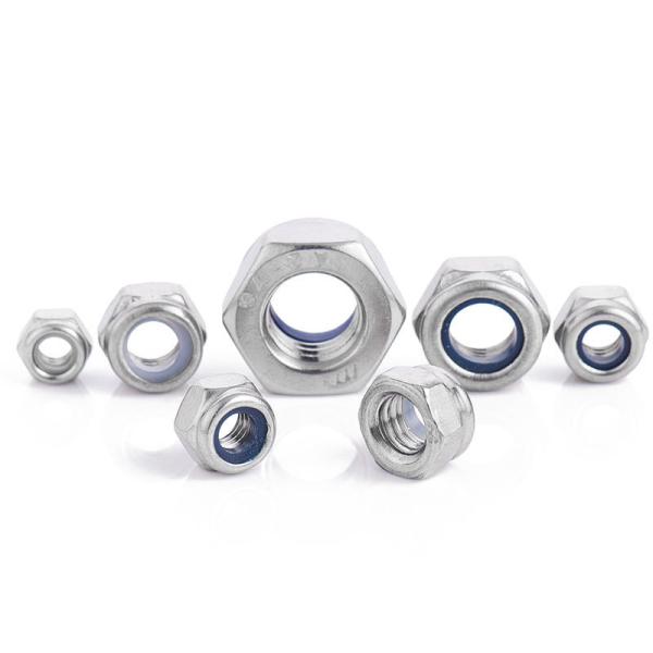Hot / Cold Forging Nylon Insert Lock Nut Customized DIN ISO GB AMSE BS