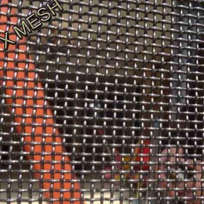 Fastness SS304 316L Stainless Steel Mosquito Mesh/ Insect Net Window Screen