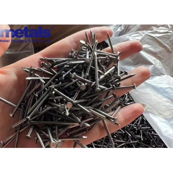 Углеродистая сталь Нержавеющая сталь Ногти Общая проволока Различные поверхностные отделки