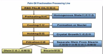 Palm Fruit Red Palm Oil Press Machine for High Productivity Palm Oil Extraction Processing Plant Competitive Cost