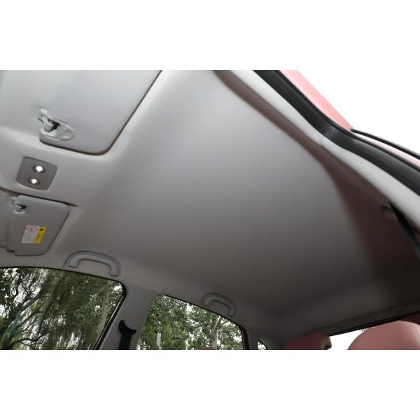 Energy NETA V Energy Electric Vehicle Pure Electric Family Car for Personal Transportation