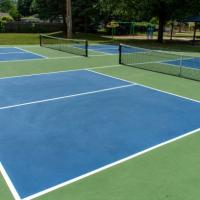 Corte superficial Mat Portable de Pickleball Pickelball rollo Mat Free Line Painting Service de 60 de los x 30ft