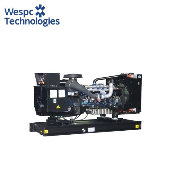 WESPC Perkins Diesel Generator With Engine 1106A-70TAG2 Electric Generator