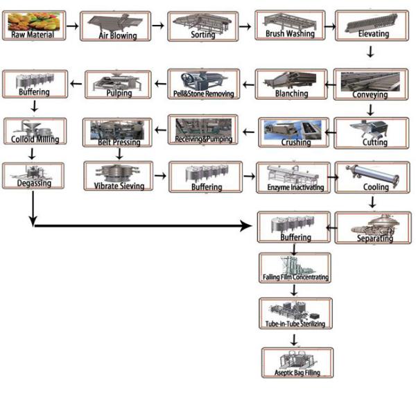 High Output Fruit And Vegetable Processing Line Pineapple Juice Processing Plant