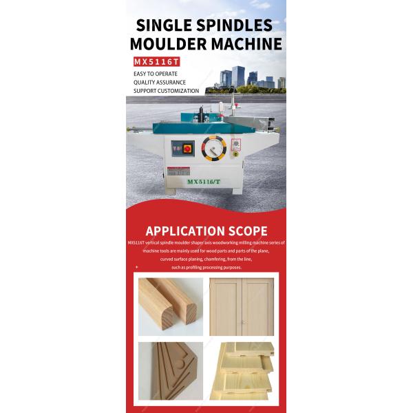 Single Axis Wood Shaping Machine with Automatic Sliding Table and 800mm Max Working Width