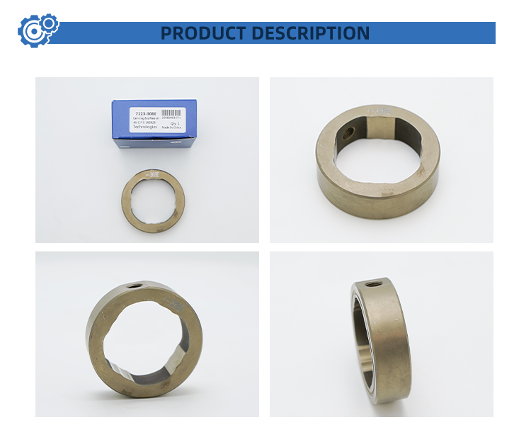 High-Quality Diesel Fuel Injection System Cam Ring 7123-308E