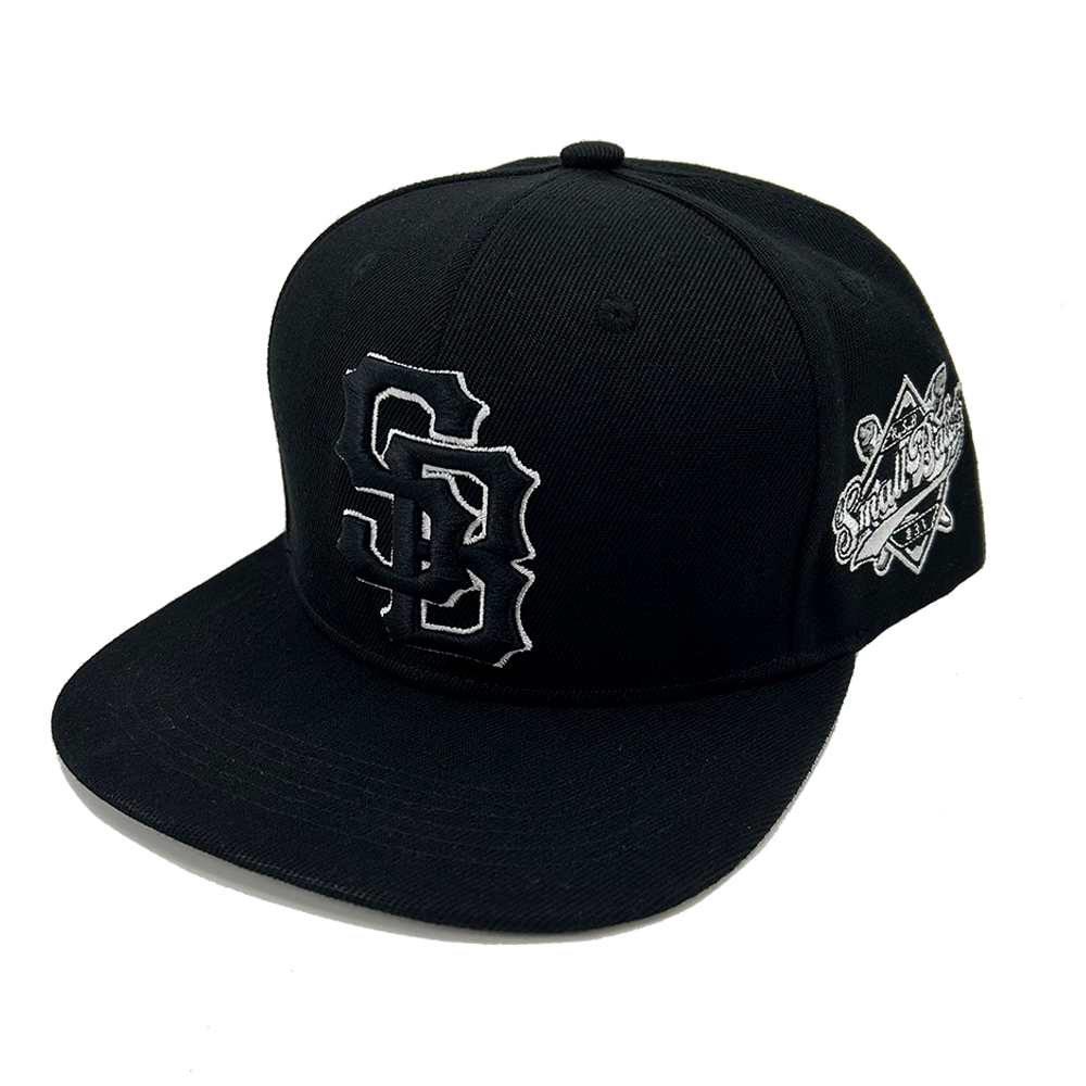 3D Embroidery Snapback Caps Structured