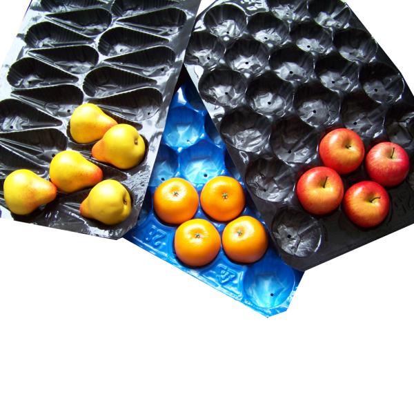 Persimmon Tray,Square Holes,popular in Israel, South Africa