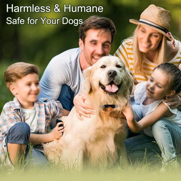 Rechargeable Eco-Friendly Nylon Dog Agility Training Collar Waterproof Walkie Talkie Remote Batteries Cute Modern Fashion Style