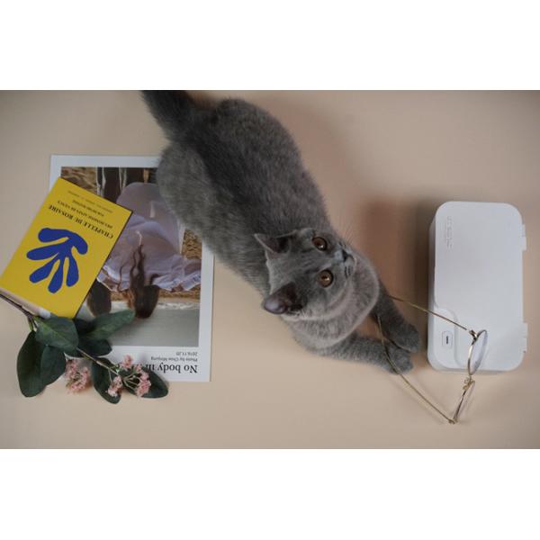 Small Ultrasonic Jewelry Cleaner , Dust Proof Automatic Eyeglass Cleaner