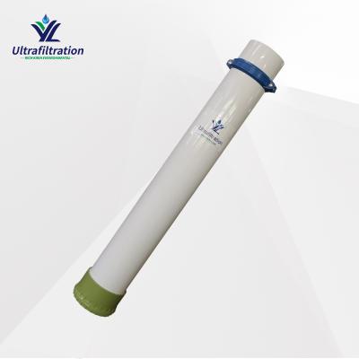 Water Purification Plant Hollow Fiber PVDF Material 219 Replacement for Hydranautics