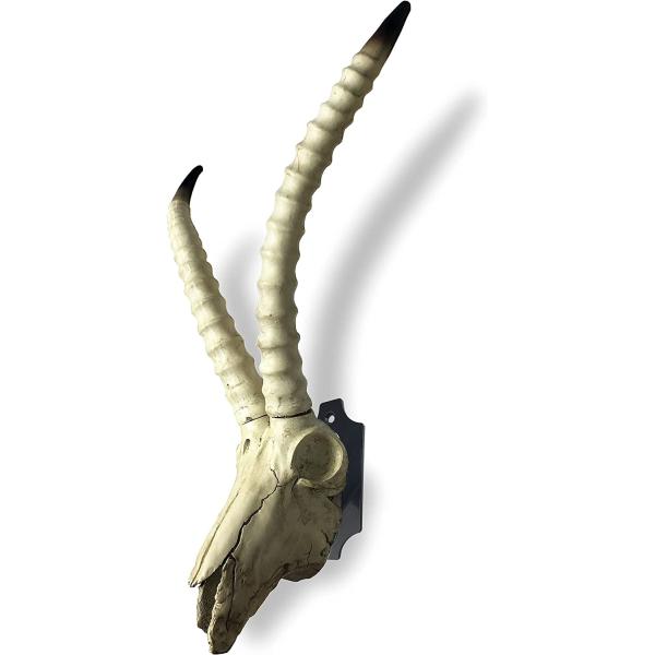 Skull Hook for Deer Mule Antelope Coyote and Small Game Animals Wall Mount Bracket Hangers