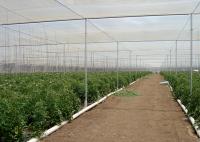 Réseau anti-insectes économique pour la serre efficace pour la culture des légumes