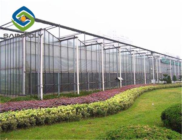 10.8m Cucumber Glass Greenhouse Intelligent Automatic Control