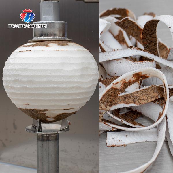 Peeler канталупы ананаса папапайи тыквы 1.0KW 90KG оборудование peeler плода небольшого автоматического коммерчески