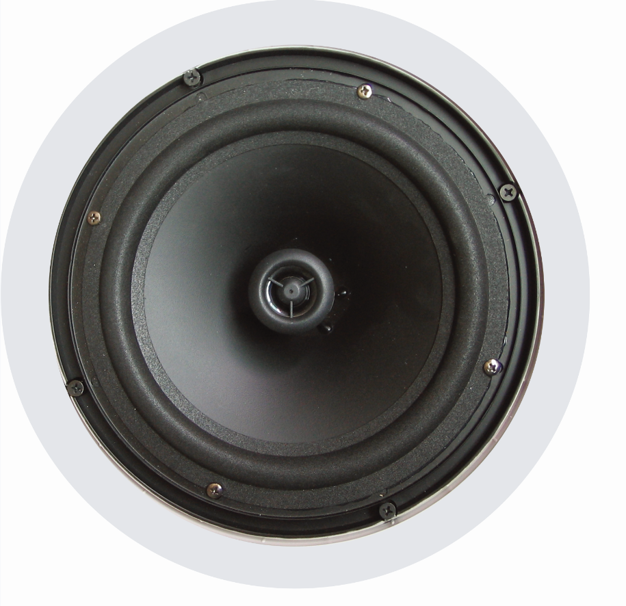 20w 100V Ceiling Mounted Surround Speakers ABS 5 Inch Coaxial Loudspeaker