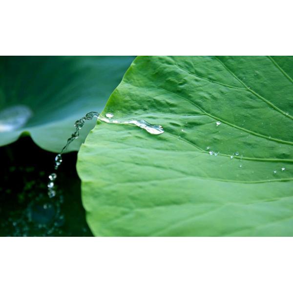 Attachable High Definition Camera Lenses Aluminum Alloy Optical Glass Coating