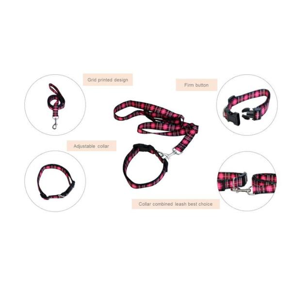 Bright Dog Lead And Collar Set Adjustable 30-48cm Buckledown Dog Collars