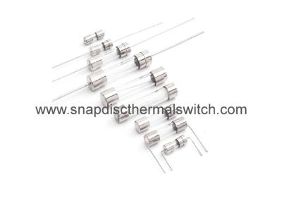 Wide Temperature Euro 5 * 20 Mm Glass Tube Fuse For Loudspeaker