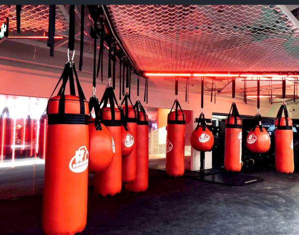Eco Friendly Strongman Fitness Boxing Punch Bag Qst International Boxing Training Sandbag