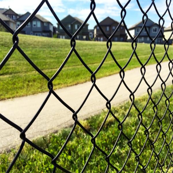 Heavy Duty Industry Hot Dipped Galvanized Chain Link Fence Trellis Gates
