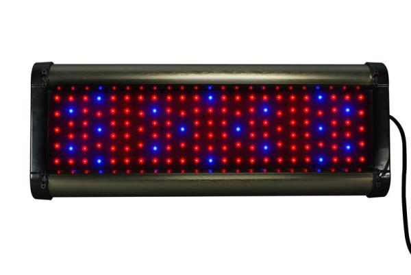 Cidly 250w Hydroponics Grow Light Lamp for flower plant, herbs, vegetable