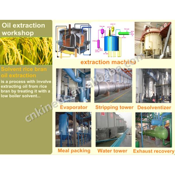 304 Stainless Steel Mini Solvent Extraction Plant for Rice Bran Oil Mill and Soybean Oil Extraction