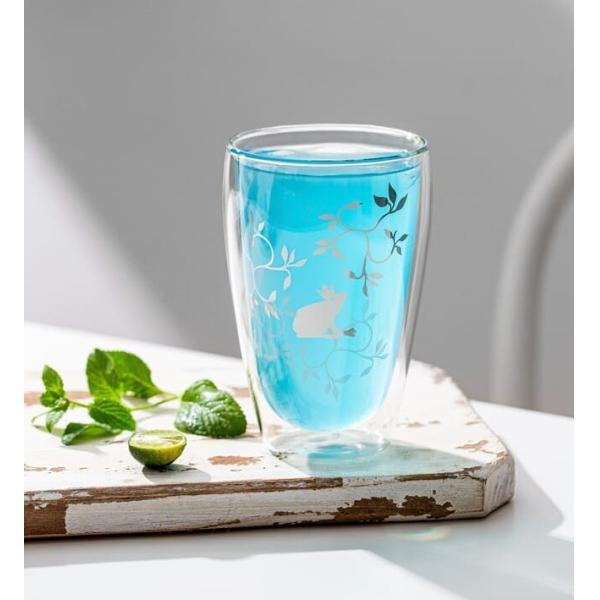 12 Ounce Double Wall Drinking Glass 340ml Borosilicate Glass Insulated Tumbler