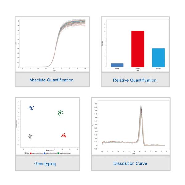 Analisador quantitativo de teste rápido 96 Wells do PCR da fluorescência do tempo real 5 canais