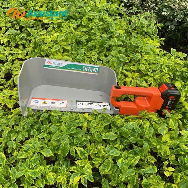 Dl-4CD-35N Portable Tea Harvester with 0.27 0.34 HP Tractor Power and 10500rpm Motor Speed